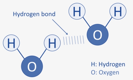 Hydrogen Bonding"   Src=" - Chemical Bond, HD Png Download, Free Download